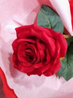 Rosa con luz - Imagen 7