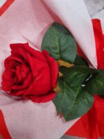 Rosa con luz - Imagen 11